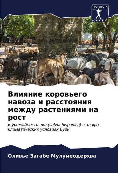 Vliqnie korow’ego nawoza i rasstoqniq mezhdu rasteniqmi na rost