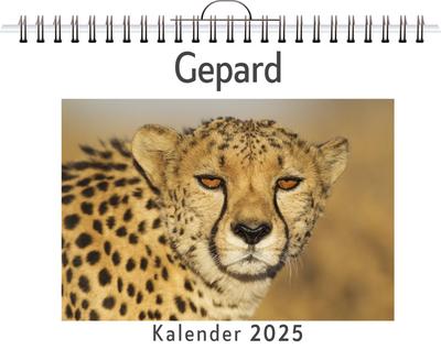 Keller, E: Gepard