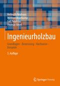 Ingenieurholzbau
