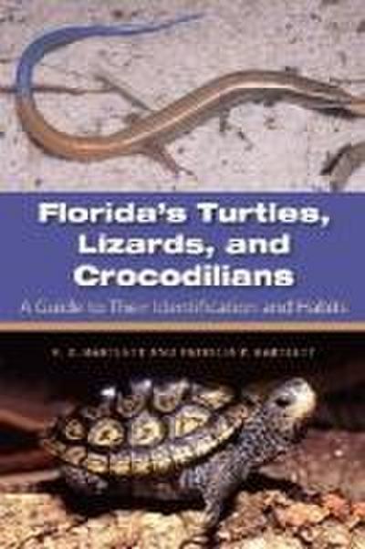 Florida’s Turtles, Lizards, and Crocodilians