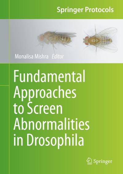Fundamental Approaches to Screen Abnormalities in Drosophila