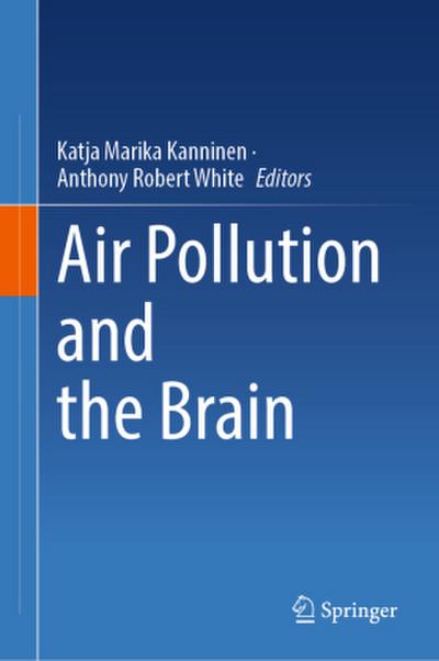 Air Pollution and the Brain