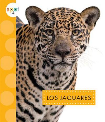 Los Jaguares