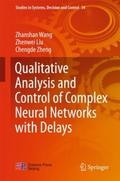 Qualitative Analysis and Control of Complex Neural