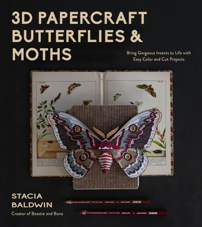 3D Papercraft Butterflies & Moths