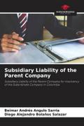 Subsidiary Liability of the Parent Company