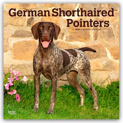 German Shorthaired Pointers - Deutsch Kurzhaar 2026 - 16-Monatskalender