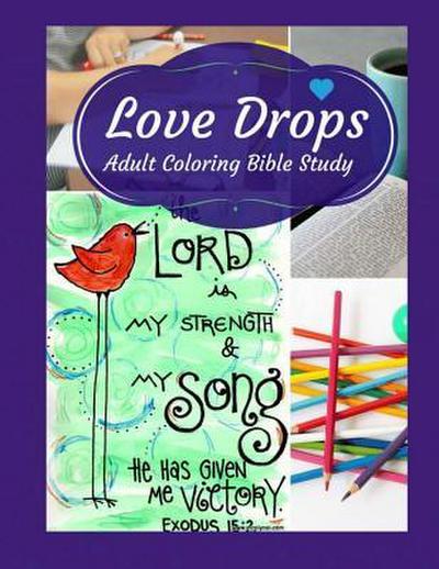Adult Coloring Bible Study