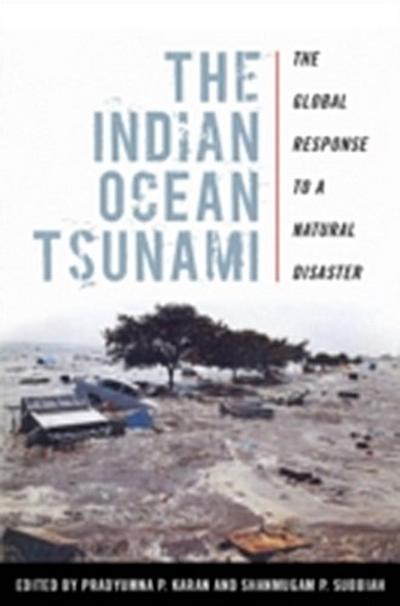 Indian Ocean Tsunami