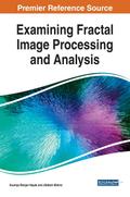 Examining Fractal Image Processing and Analysis