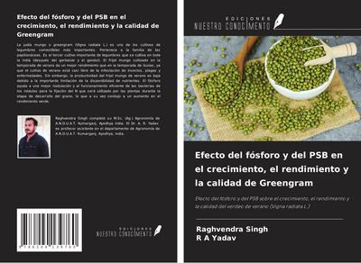 Efecto del fósforo y del PSB en el crecimiento, el rendimiento y la calidad de Greengram