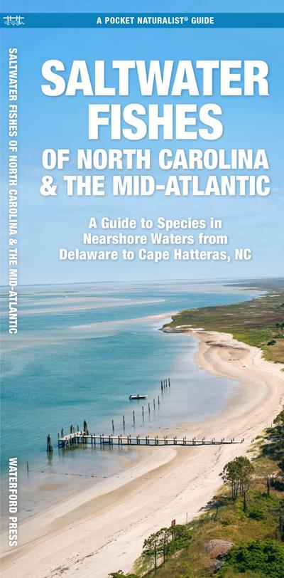 Saltwater Fishes of North Carolina & the Mid-Atlantic