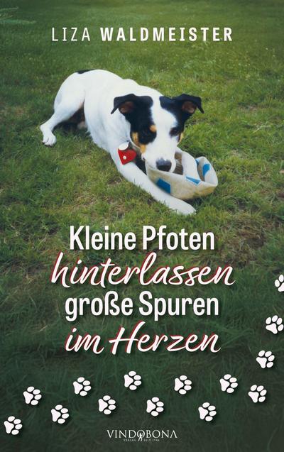 Kleine Pfoten hinterlassen große Spuren im Herzen