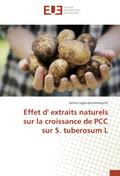 Effet d’ extraits naturels sur la croissance de PCC sur S. tuberosum L