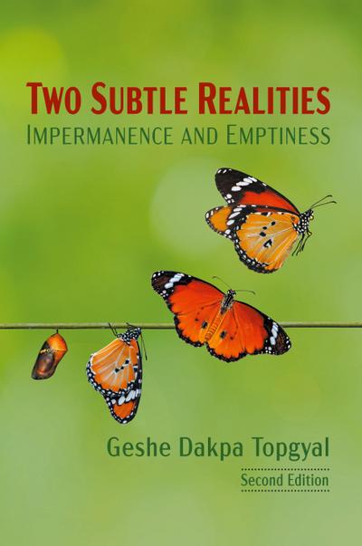 Two Subtle Realities