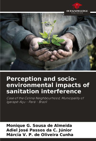 Perception and socio-environmental impacts of sanitation interference