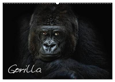 Gorilla (Wandkalender 2024 DIN A2 quer), CALVENDO Monatskalender