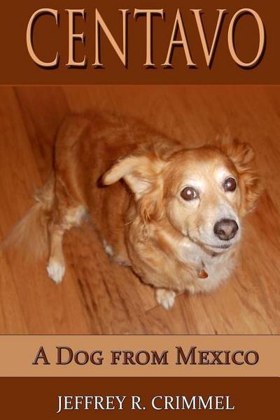 Centavo, A Dog From Mexico