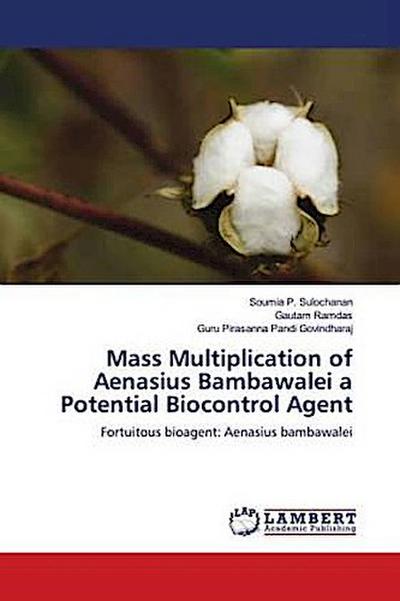 Mass Multiplication of Aenasius Bambawalei a Potential Biocontrol Agent