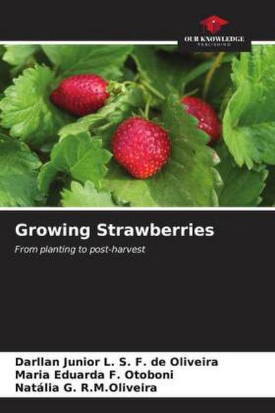 Growing Strawberries