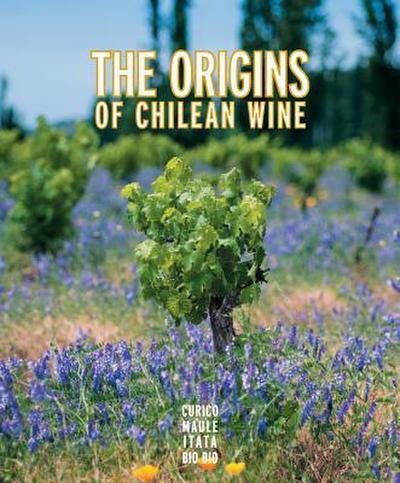 SPA-ORIGINS OF CHILEAN WINE