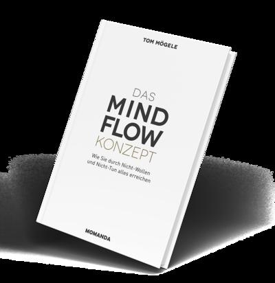 Das MindFlow Konzept