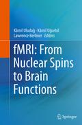 fMRI: From Nuclear Spins to Brain Functions