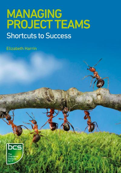 Managing Project Teams