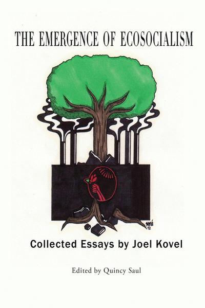 The Emergence of Ecosocialism