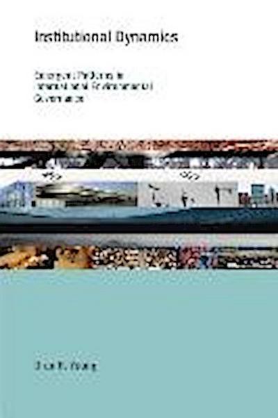 Institutional Dynamics