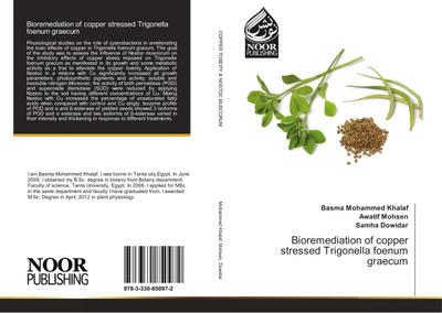 Bioremediation of copper stressed Trigonella foenum graecum