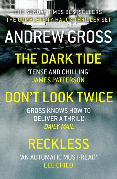 Andrew Gross 3-Book Thriller Collection 1