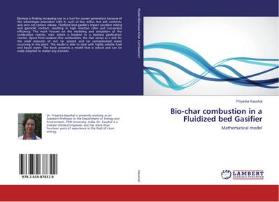 Bio-char combustion in a Fluidized bed Gasifier
