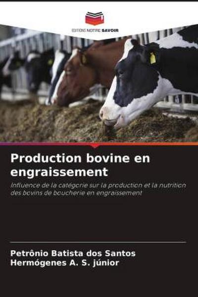 Production bovine en engraissement