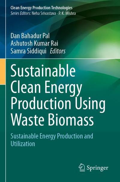 Sustainable Clean Energy Production Using Waste Biomass