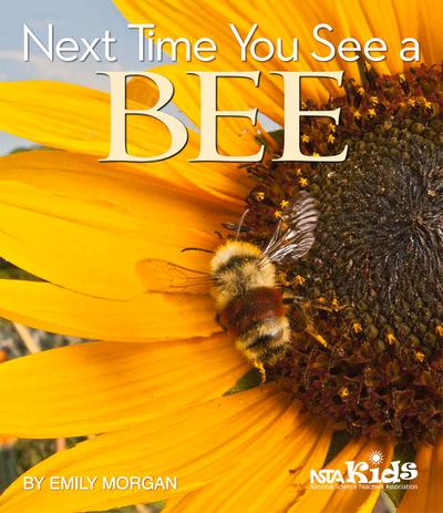 Next Time You See a Bee