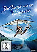Der Junge und die Wildgänse