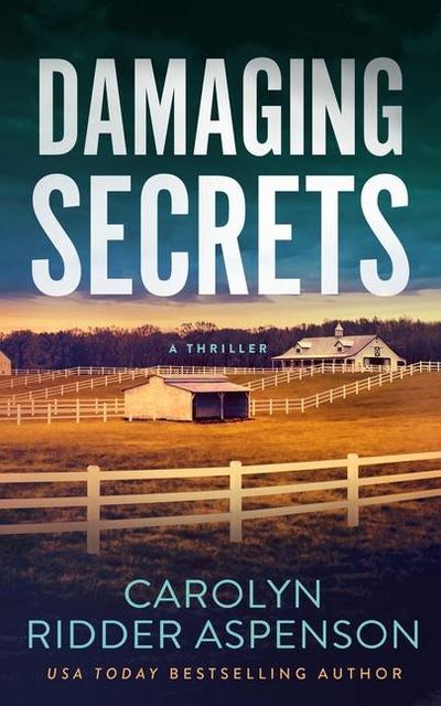 Damaging Secrets