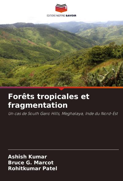Forêts tropicales et fragmentation
