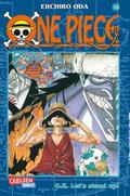 One Piece 10