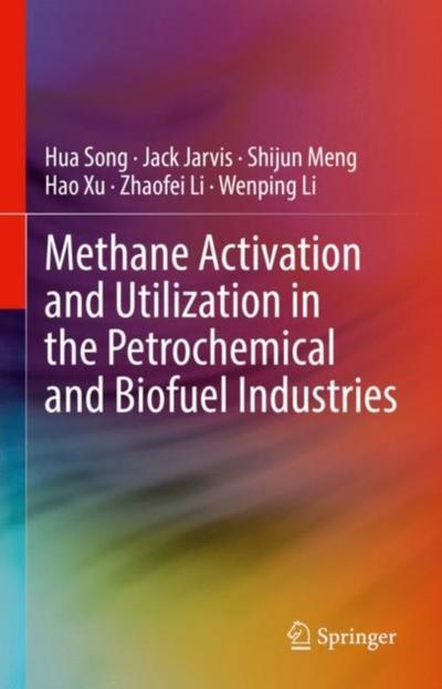 Methane Activation and Utilization in the Petrochemical and Biofuel Industries