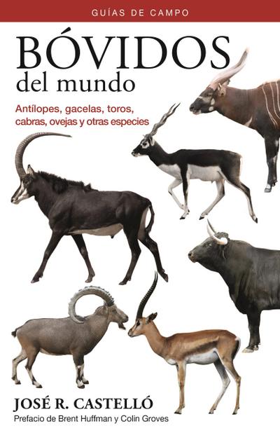 Bóvidos del mundo : guías de campo