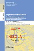 Segmentation of the Aorta. Towards the Automatic S