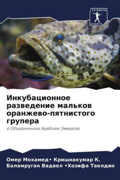 Inkubacionnoe razwedenie mal’kow oranzhewo-pqtnistogo grupera