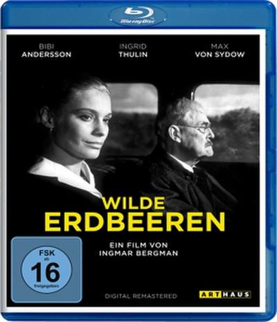 Wilde Erdbeeren