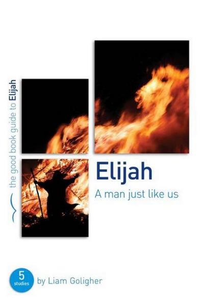 Elijah: A Man Just Like Us: 5 Studies for Individuals or Groups