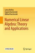 Numerical Linear Algebra: Theory and Applications