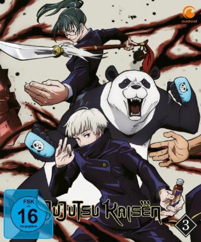 Jujutsu Kaisen. Staffel.1.3, 1 DVD