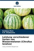 Leistung verschiedener Sorten von Wassermelonen (C