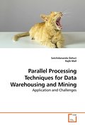Parallel Processing Techniques for Data Warehousin